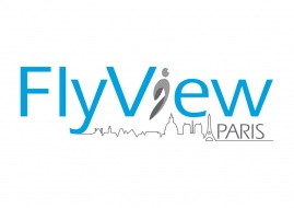 Flyview